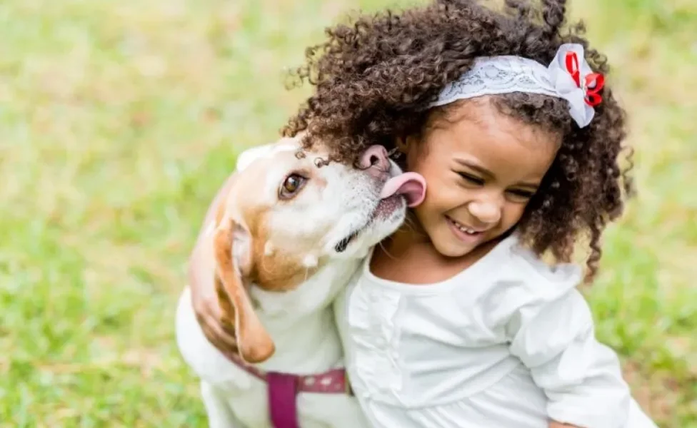  Cachorro e crianças mais velhas: Raças de grande e médio porte, como o Beagle e Labrador, são as mais indicadas 