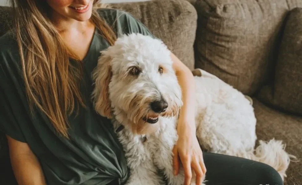 O serviço de pet sitter inclui todos os cuidados que o seu cãozinho precisa