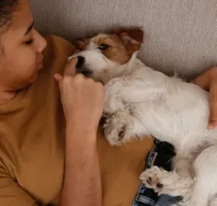 No dia do abraço, demonstre todo o seu amor pelo seu cachorro