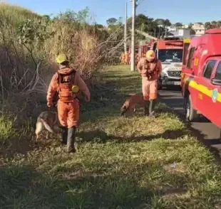 Bombeiros se confundem durante resgate com gato miando igual bebê