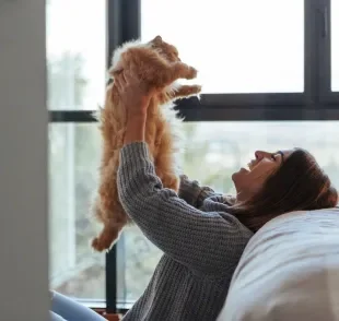 Gatos são sensitivos e sabem quando seus tutores estão tristes 