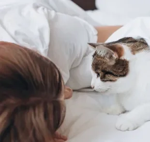 O gato acordando o dono de madrugada pode ter a ver com os instintos noturnos da espécie