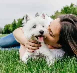 Descubra as vantagens de adotar ou comprar um cachorrinho