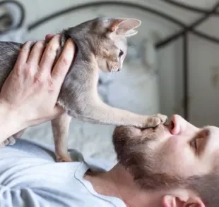 A pata de gato no rosto do dono pode ter diferentes significados