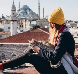 Em Istambul, gatos são muito queridos e viraram paixão nacional