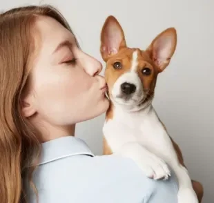 Descubra o que os cachorros pensam quando beijamos eles! 