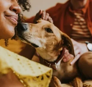 Existem raças de cachorro perfeitas para cada tipo de família - e os vira-latas também não ficam fora da lista