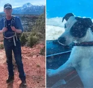A cadela Finney ficou mais de 2 meses ao lado do tutor que morreu ao escalar uma montanha nos EUA.  Reprodução/Colorado Missing Person Organization