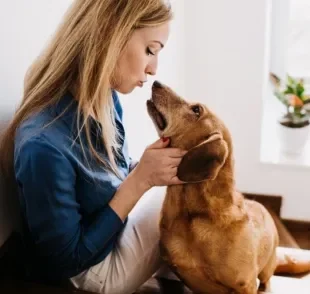 Como falar com cachorro: descubra se usar voz de bebê faz bem ou mal para os cães