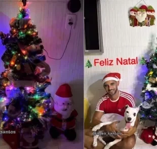 Veja a árvore de Natal que o tutor montou com a ajuda de sua cadela / Créditos Instagram: @agea_santos