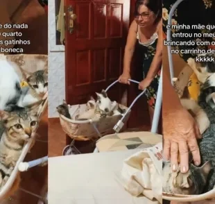 Avó de pet provoca boas risadas nos internautas com jeitinho peculiar de cuidar dos netos (Créditos: Tiktok/ rosielemachadoc)