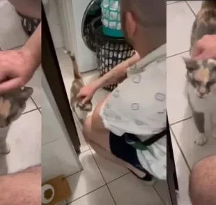  Tutor vai resgatar sua gata perdida em outra cidade (Créditos: Arquivo pessoal) 