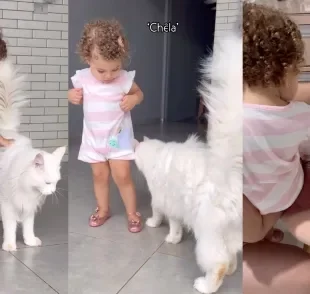 Criança e gato se conhecem pela primeira vez e menina se torna uma nova mini gateira (Instagram/@oliviaeirmaos)