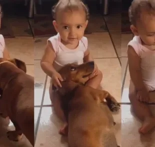Criança e cachorro salsicha compartilham momento fofo após pet pedir carinho (Créditos: Instagram/@viicroocha_)