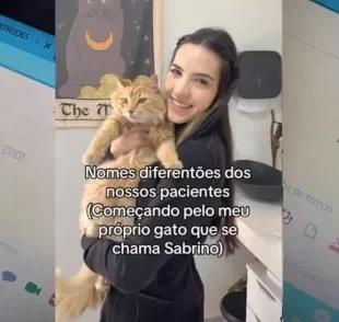 Foram tantos nomes engraçados para gatos que o vídeo viralizou nas redes sociais