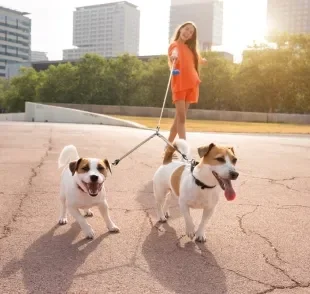 Passear com cachorro que puxa a coleira não é uma tarefa fácil, mas algumas dicas podem ajudar