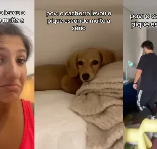 Cachorro se escondendo dentro de casa deixa os tutores desesperados à sua procura. Créditos: TikTok/@notdudacereza