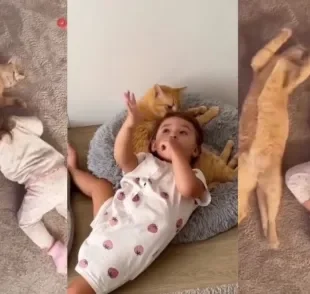 A relação entre criança e gato é cheia de benefícios para os pequenos (Créditos: Tiktok/ @us_helenacoelhooo)