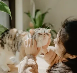 Pai e mãe de pet felizes recebem muito amor e carinho do animal