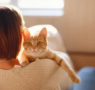 Algumas raças de gato adoram passar seu tempo bem grudadinho com o tutor. Saiba quais!