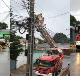 Bombeiro resgata gato de um local surpreendente (Créditos: TikTok/@lorenamesmo_)