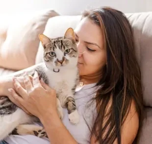 Conquistar o amor de gato não é impossível, mas precisa de alguns cuidados