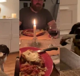 Cachorro decide tocar uma "serenata de amor" no jantar do dia dos namorados dos tutores (Créditos: Tiktok/ @mandyandthegoat)