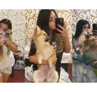 Tutora descobre que comprou um Lulu da Pomerânia “fake” (Créditos: Tiktok/ @renatadauu)