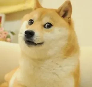 Meme de cachorro Kabosu ficou famoso na internet em 2010 e é reproduzido até hoje (Créditos: Reprodução)
