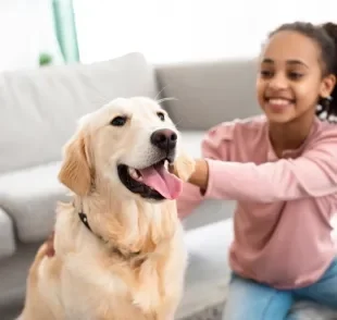 Algumas raças de cachorro são conhecidas por serem super leais