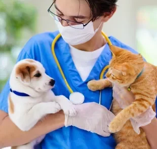 Dar um presente de Natal para o veterinário do seu pet vai fazê-lo se sentir especial