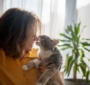 O comportamento do gato é muito curioso e pode ter explicações surpreendentes
