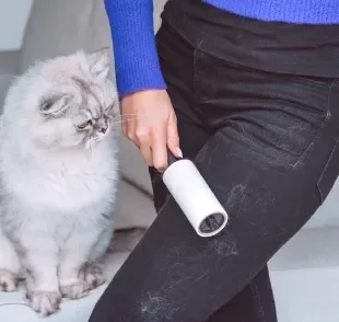 O rolo adesivo é uma das formas mais conhecidas de como tirar pelo de gato da roupa