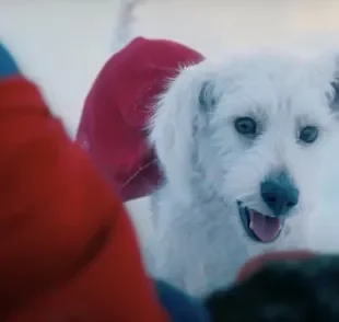 Representação do cachorro Krypto foi baseada no pet do diretor James Gunn