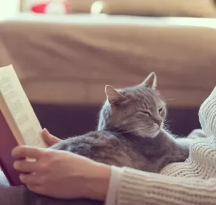 Autores clássicos retratam a essência dos felinos em versos bonitos e cheios de significado