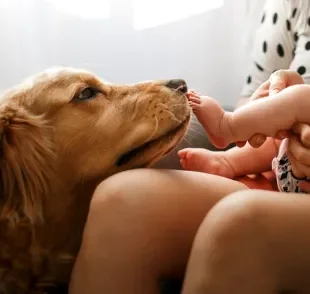O convívio entre cães e crianças pequenas pode trazer muitos benefícios para o desenvolvimento infantil