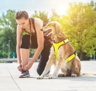 O uso de equipamentos adequados garante conforto e segurança durante a corrida com cachorro