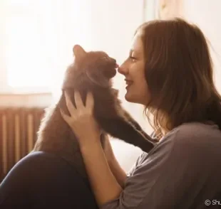 Os gatinhos são animais tão carinhosos quanto os cães. Basta saber enxergar as demonstrações de afeto.