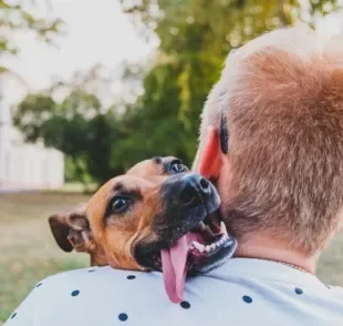 O amor de cachorro é regado de companheirismo e confiança