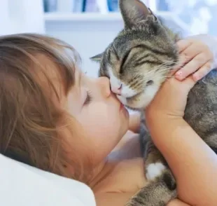 Gatos carinhosos: descubra as raças que mais amam um chamego com seus donos!