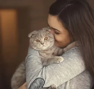 Alergia a gato tem controle e não precisa se desfazer do seu gatinho!