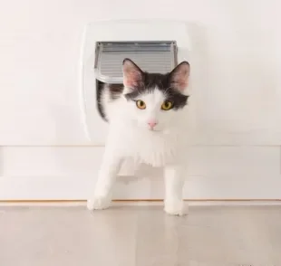 A porta para gatos torna o dia a dia do seu felino mais confortável e sem obstáculos pelo caminho