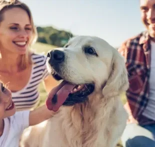 Construir uma rotina para cachorro é essencial