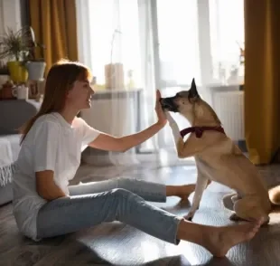 Comandos para cachorro: você mesmo pode adestrar o seu amigo em casa. Veja como! 