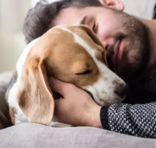 Já se perguntou qual raça de cachoro mais combina com o seu signo? Saiba que algumas teorias podem te responder!