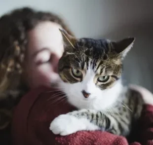 Afinal, como os gatos veem seus donos? Será que eles são capazes de reconhecê-los? Descubra!