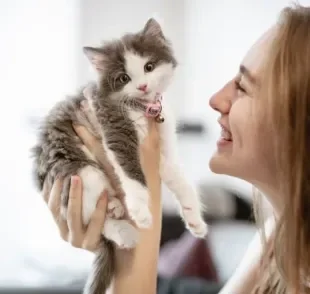 Já ouviu falar de cat sitting? Saiba tudo sobre este tipo de serviço de babá para gato!