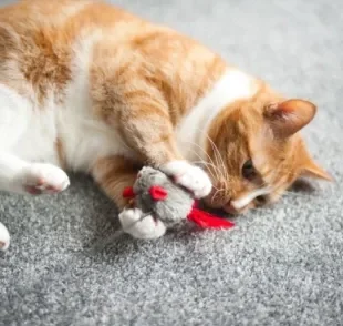 O ratinho de corda para gatos é uma ótima opção para deixar seu bichano entretido