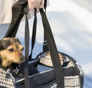 O modelo de bolsa de transporte para cachorro no formato de sacola é o mais popular