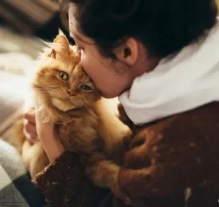 Comportamento do gato: o ronronar e o ato de "amassar pãozinho" ajudam a diminuir a ansiedade dos humanos